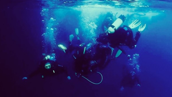 By Elise Norman Dive Zone Whitianga
