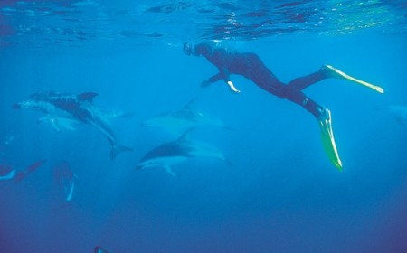 Encounter Kaikoura
